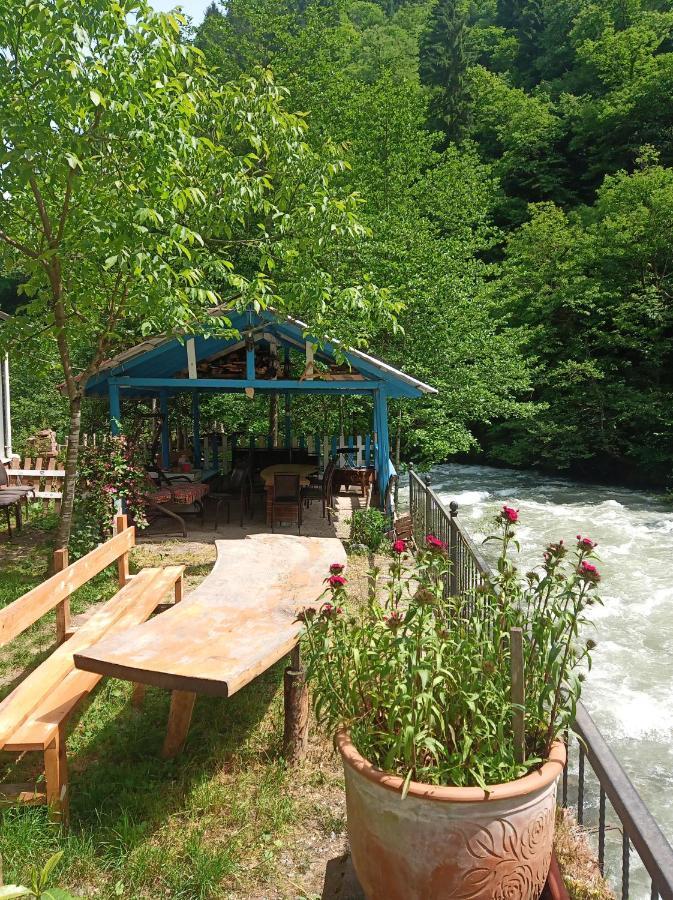 Mjora Butik Otel Çamlıhemşin Εξωτερικό φωτογραφία