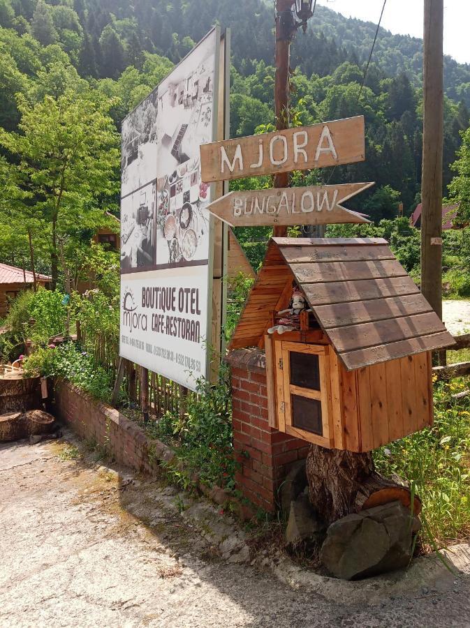 Mjora Butik Otel Çamlıhemşin Εξωτερικό φωτογραφία