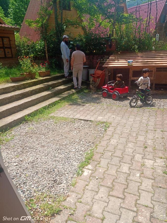Mjora Butik Otel Çamlıhemşin Εξωτερικό φωτογραφία